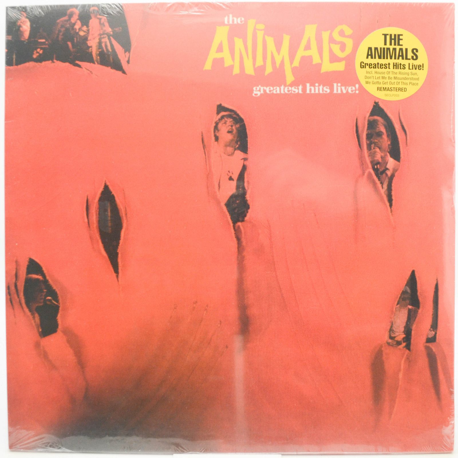 The Animals — Greatest Hits Live!, 1984