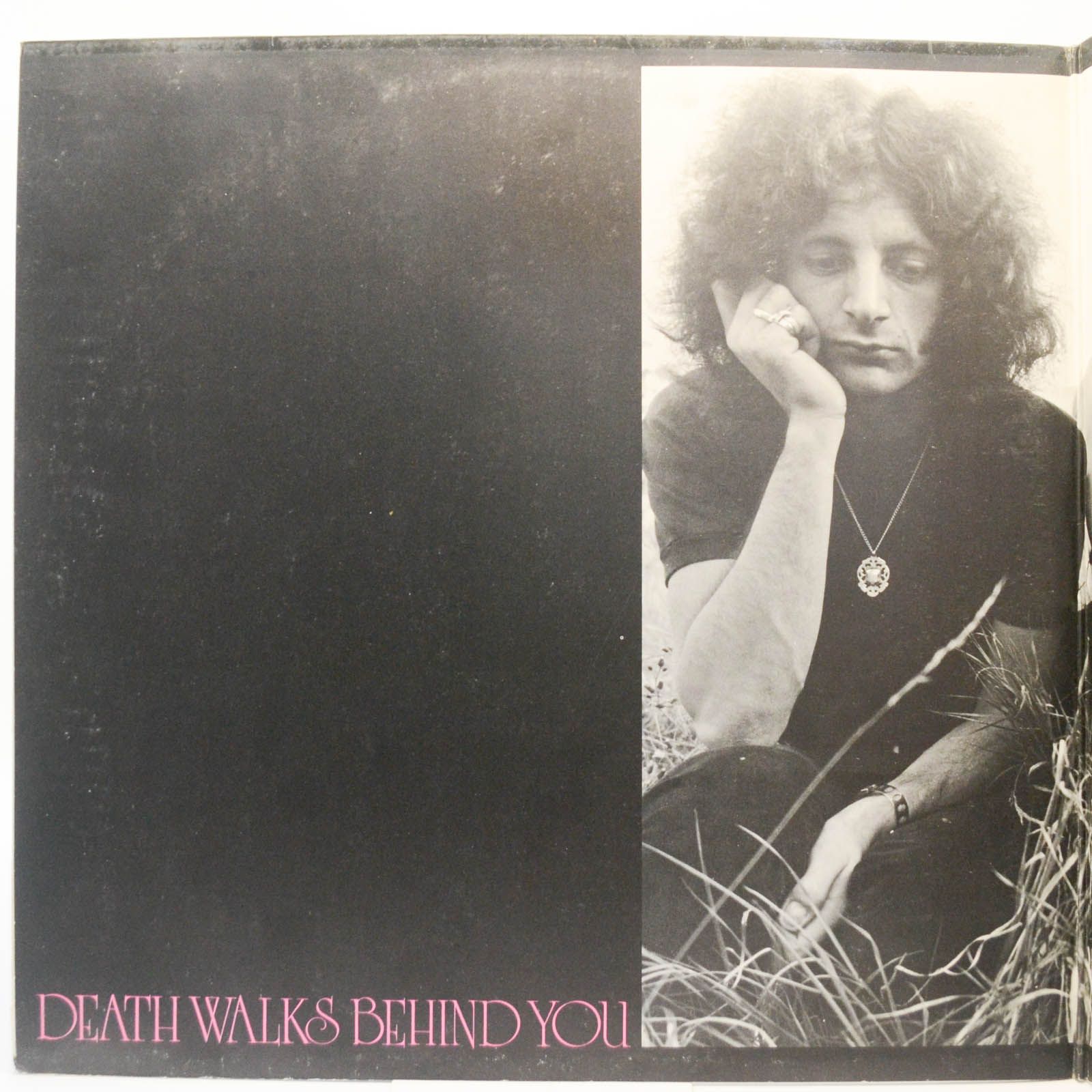 Виниловая пластинка Atomic Rooster — Death Walks Behind You, 1970