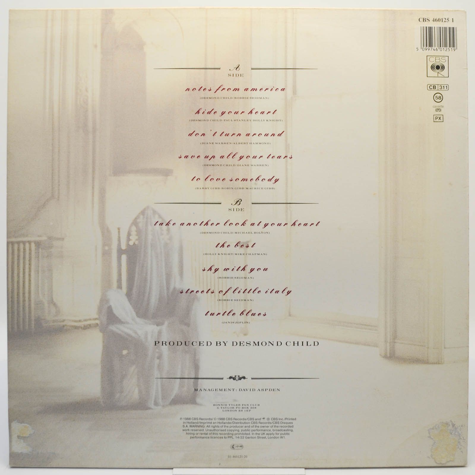 Виниловая пластинка Bonnie Tyler — Hide Your Heart, 1988