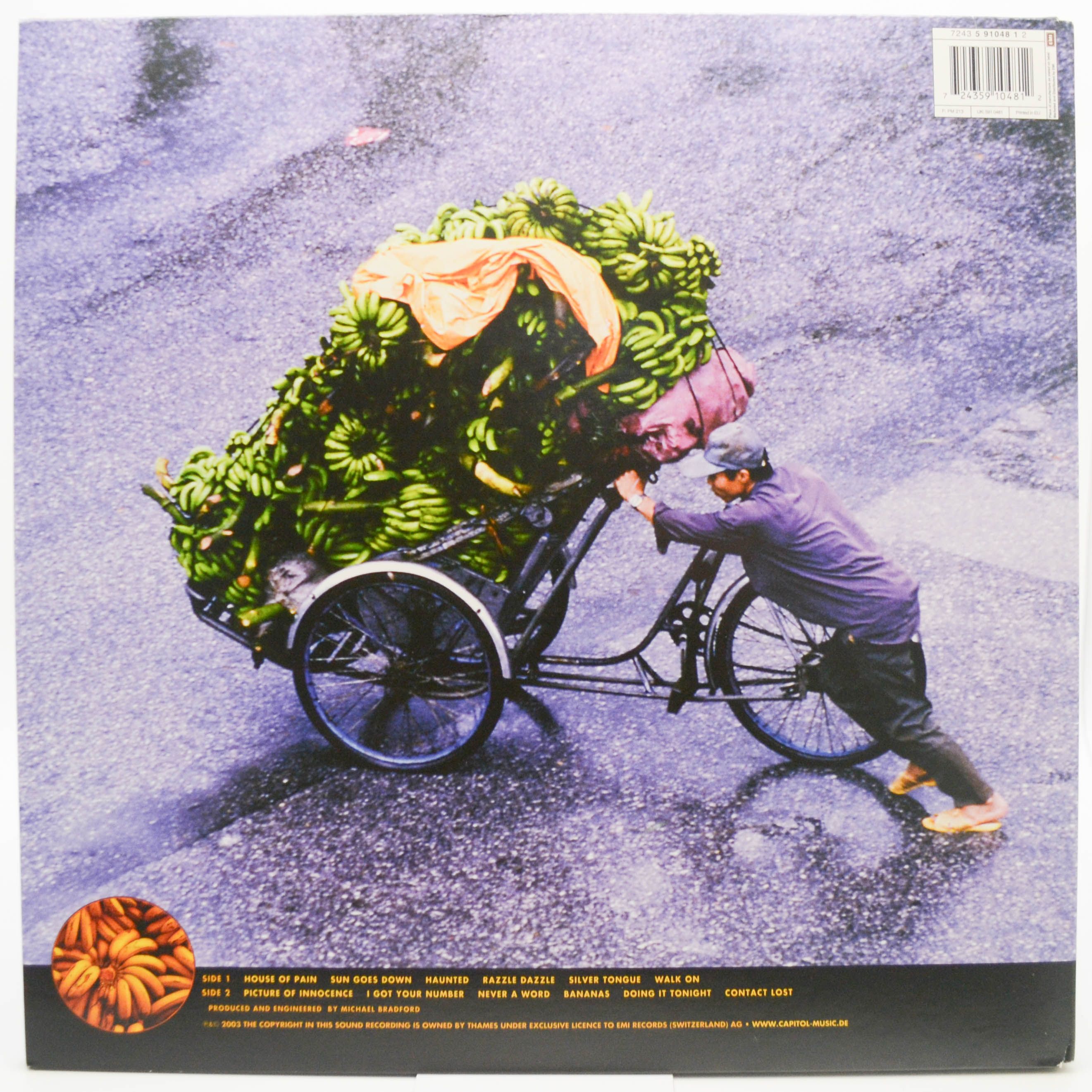 Deep Purple — Bananas, 2003