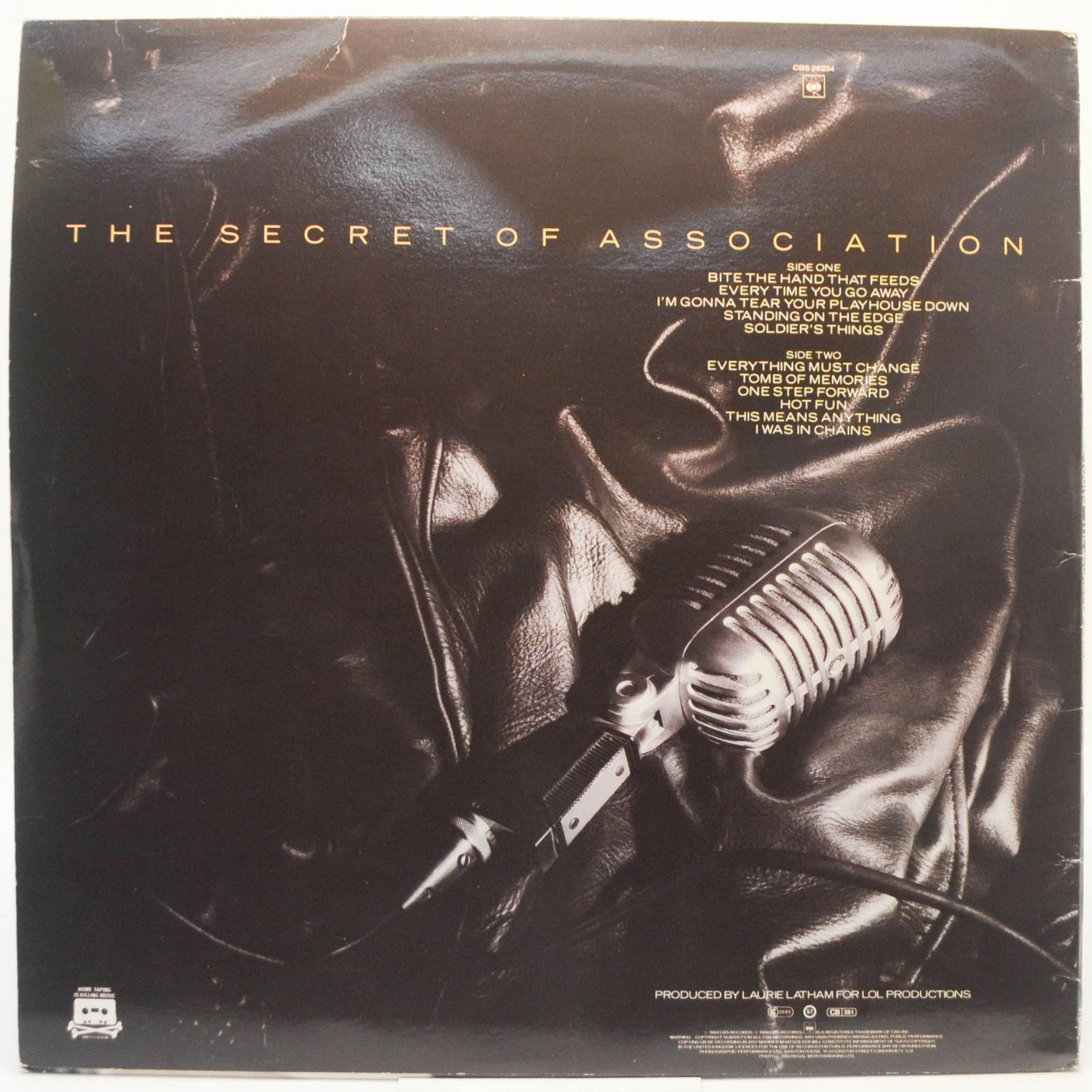 Виниловая пластинка Paul Young — The Secret Of Association (UK), 1985