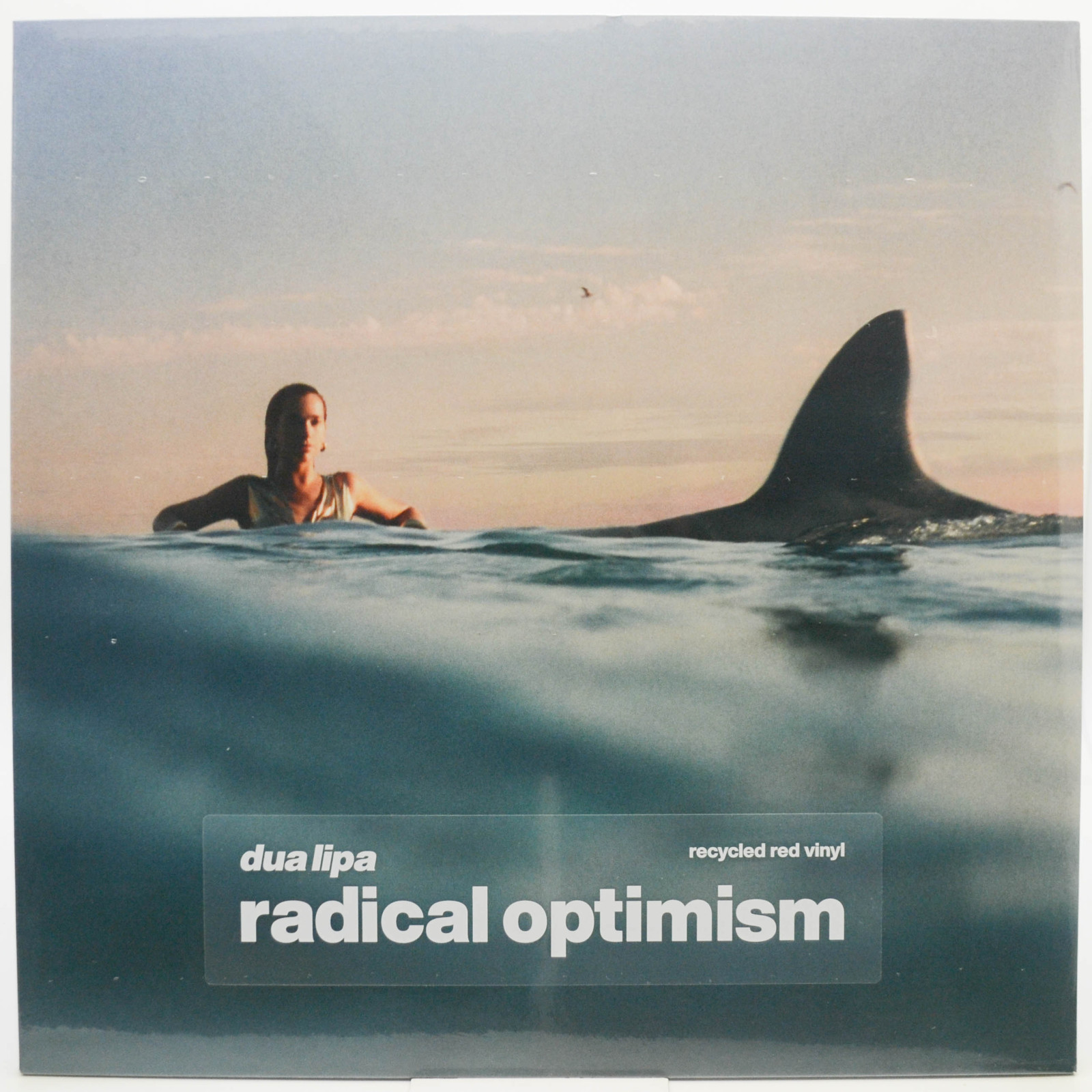 Виниловая пластинка Dua Lipa — Radical Optimism, 2024