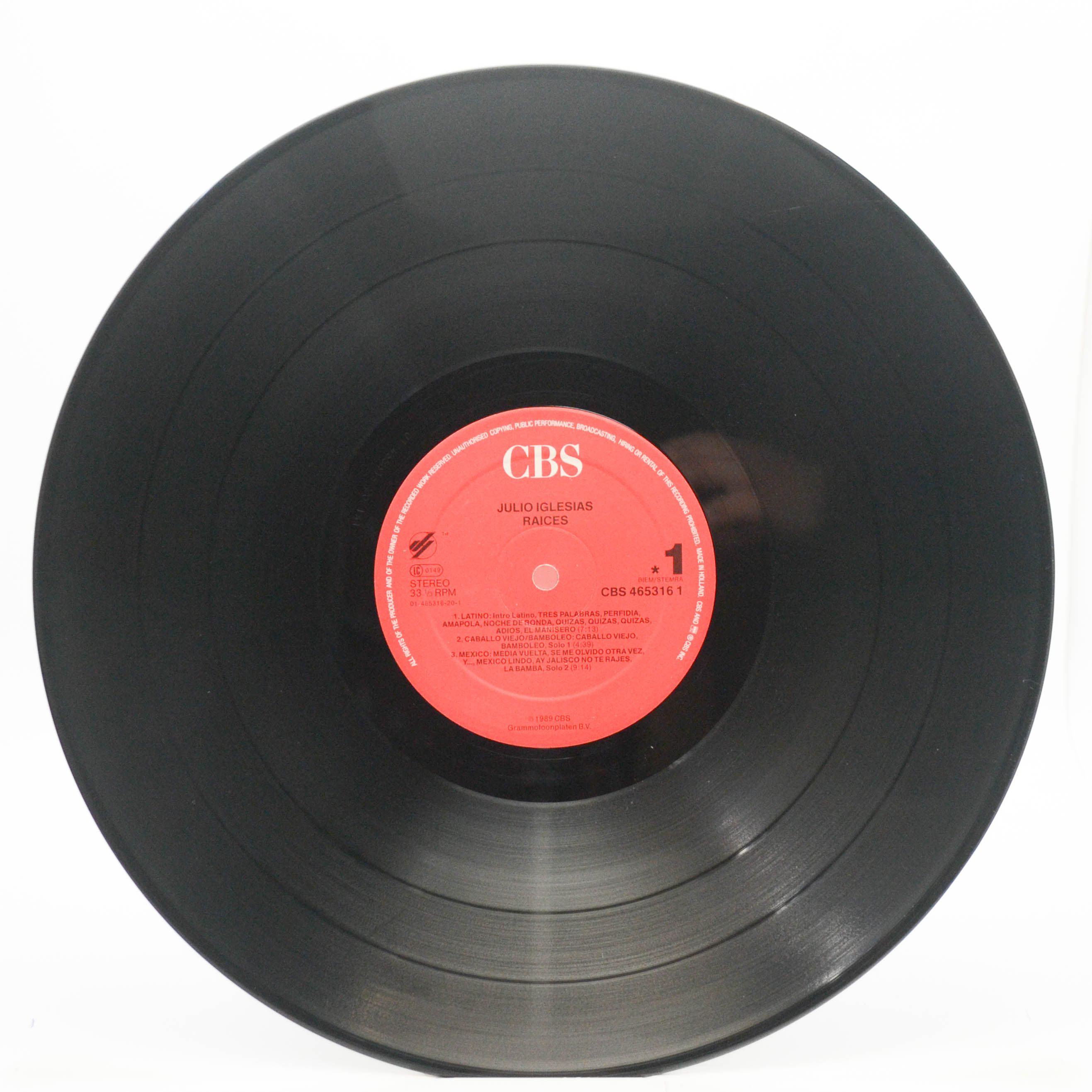Julio Iglesias — Raices, 1989