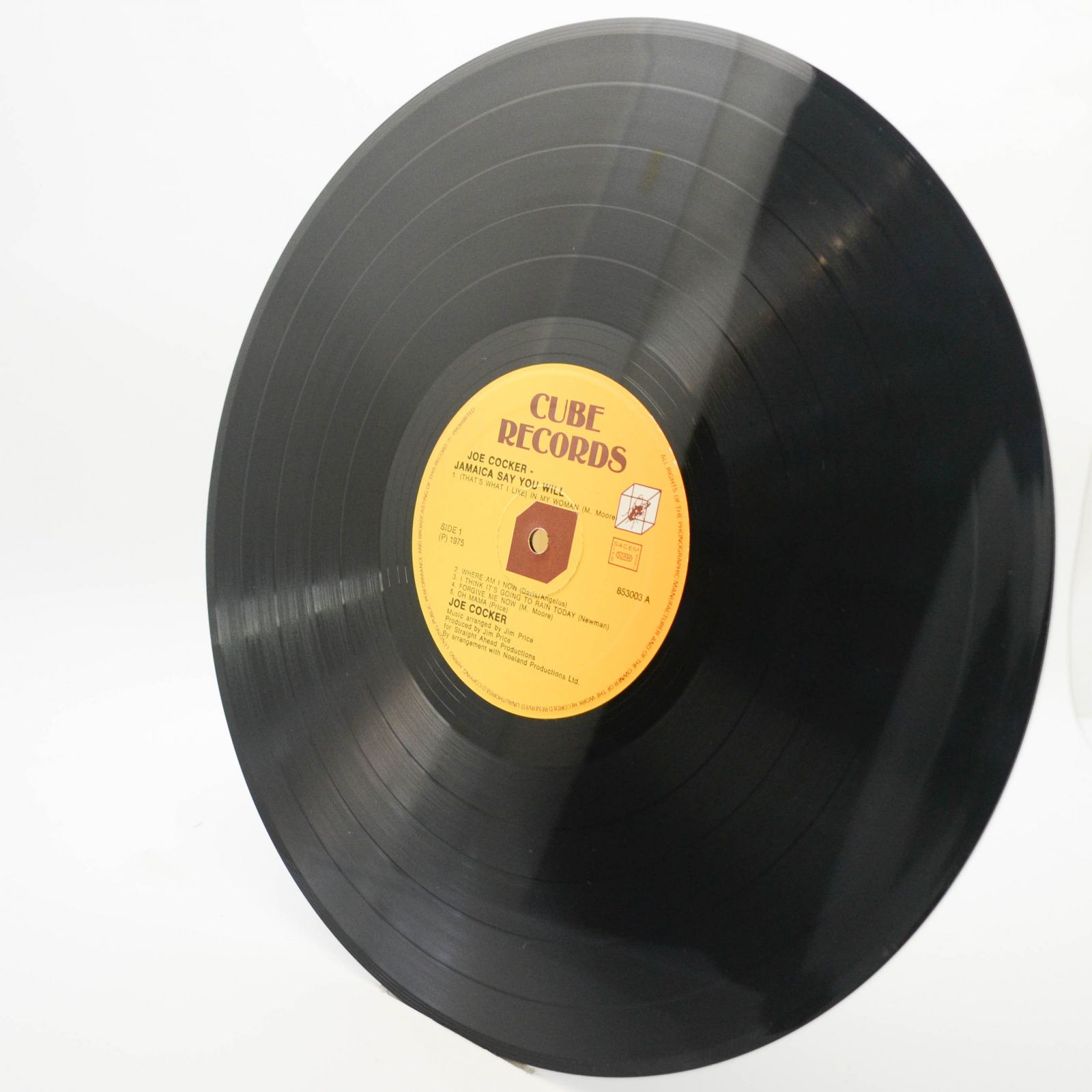 Joe Cocker — Jamaica Say You Will, 1975