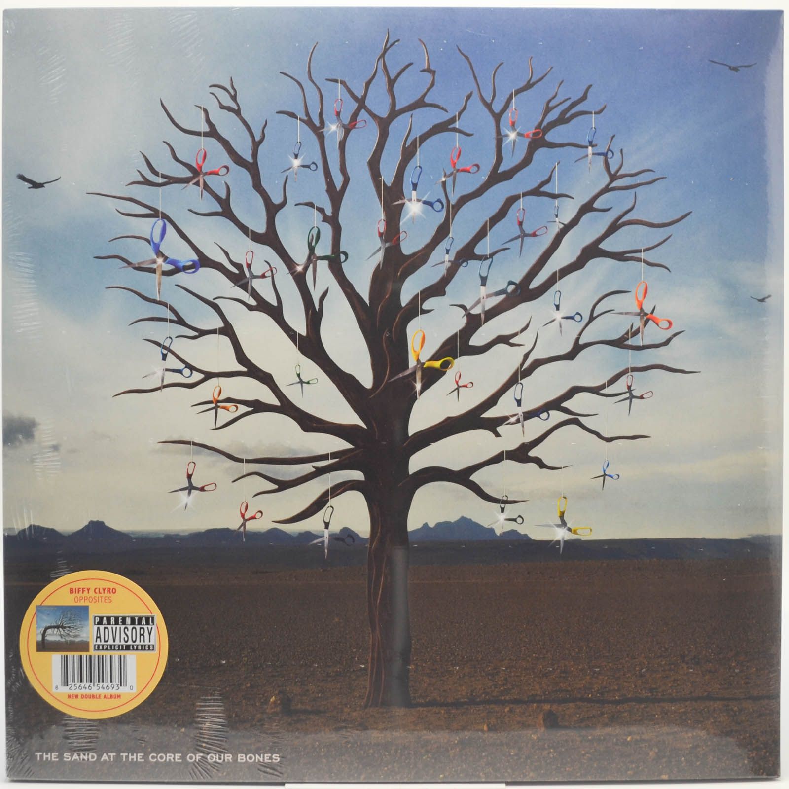 Виниловая пластинка Opposites (2LP), 2013