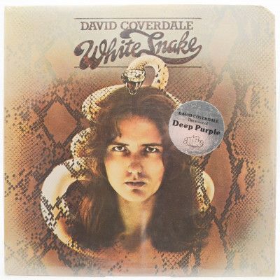 Виниловая пластинка White Snake, 1977