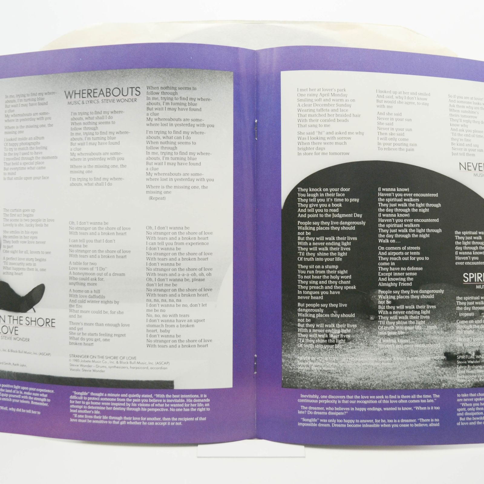 Виниловая пластинка Stevie Wonder — In Square Circle (booklet), 1985