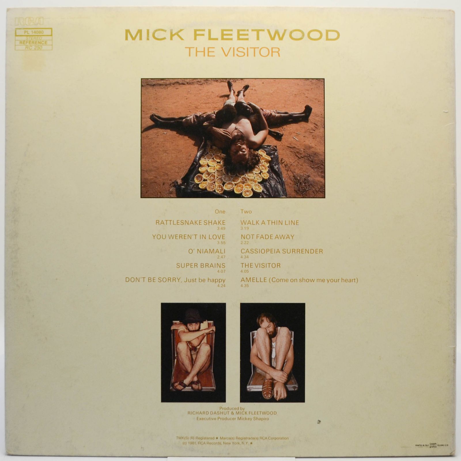 Виниловая пластинка Mick Fleetwood — The Visitor, 1981
