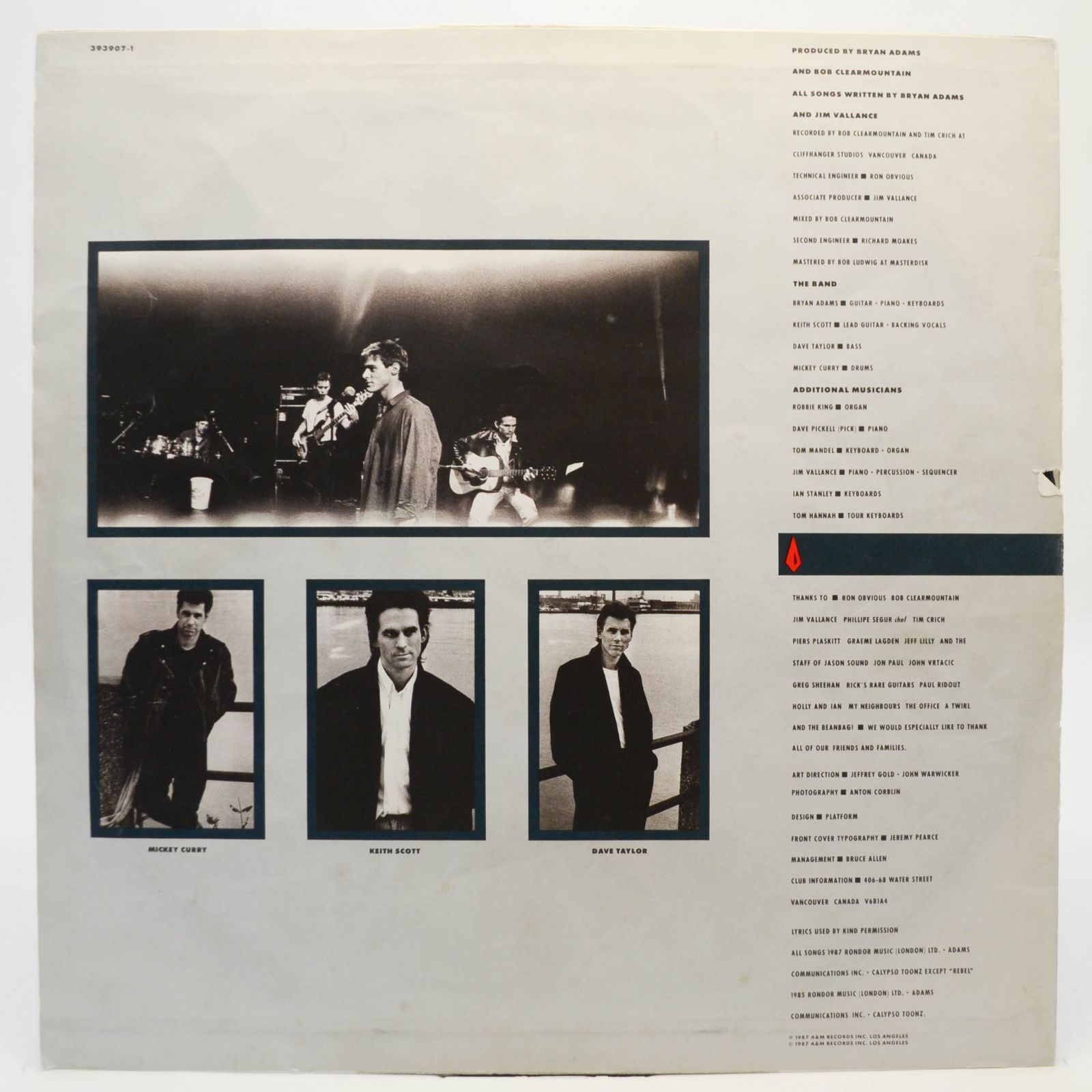 Виниловая пластинка Bryan Adams — Into The Fire, 1987