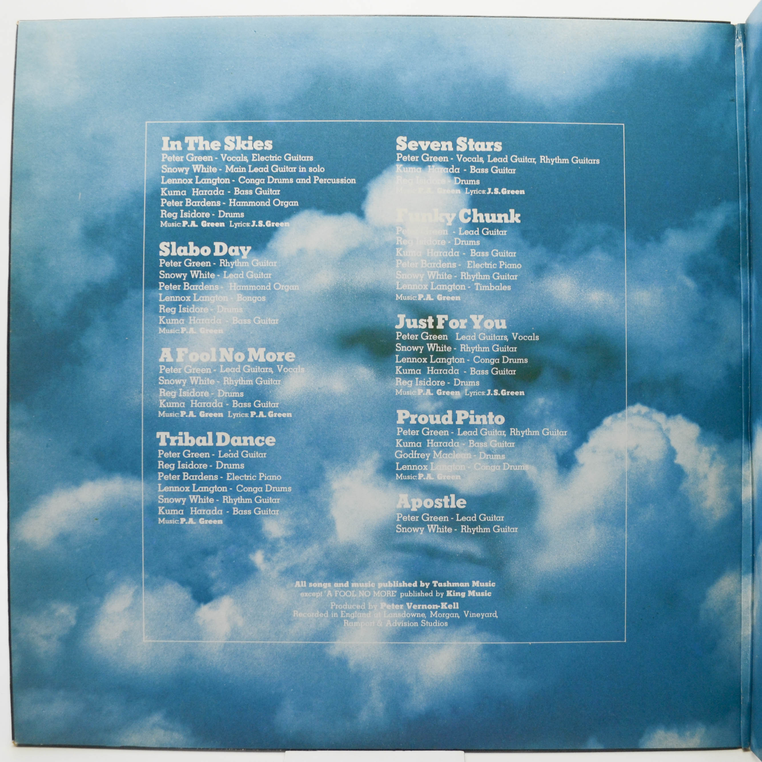 Peter Green — In The Skies, 1979