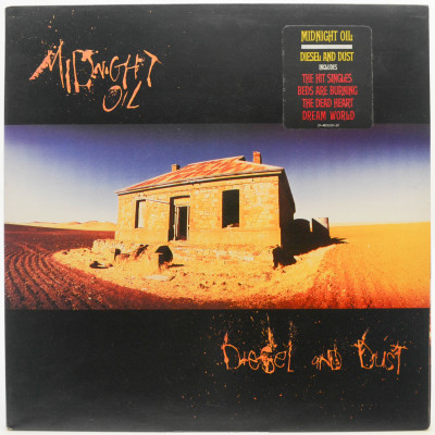 Виниловая пластинка Diesel And Dust, 1987
