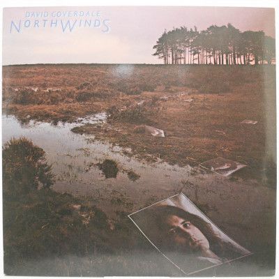 Виниловая пластинка Northwinds, 1978