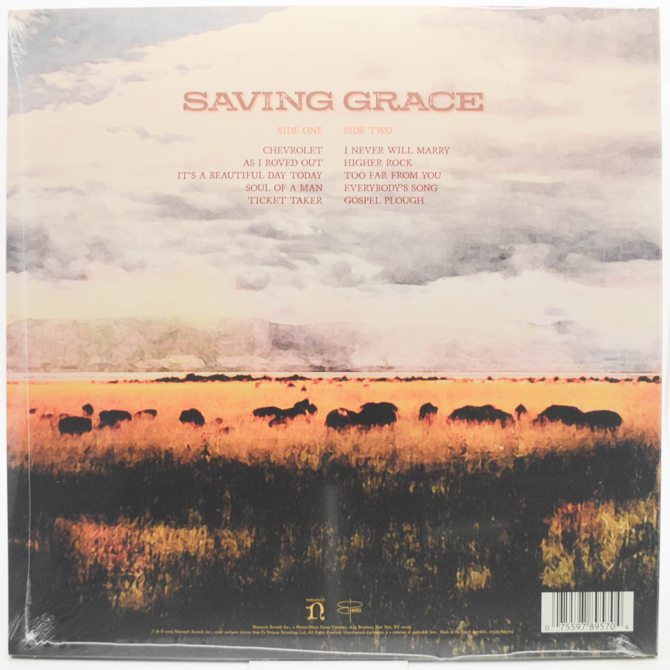 Виниловая пластинка Robert Plant With Suzi Dian — Saving Grace, 2025
