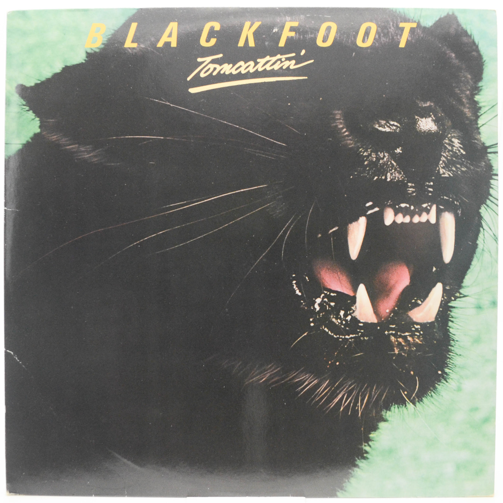 Виниловая пластинка Blackfoot — Tomcattin', 1980