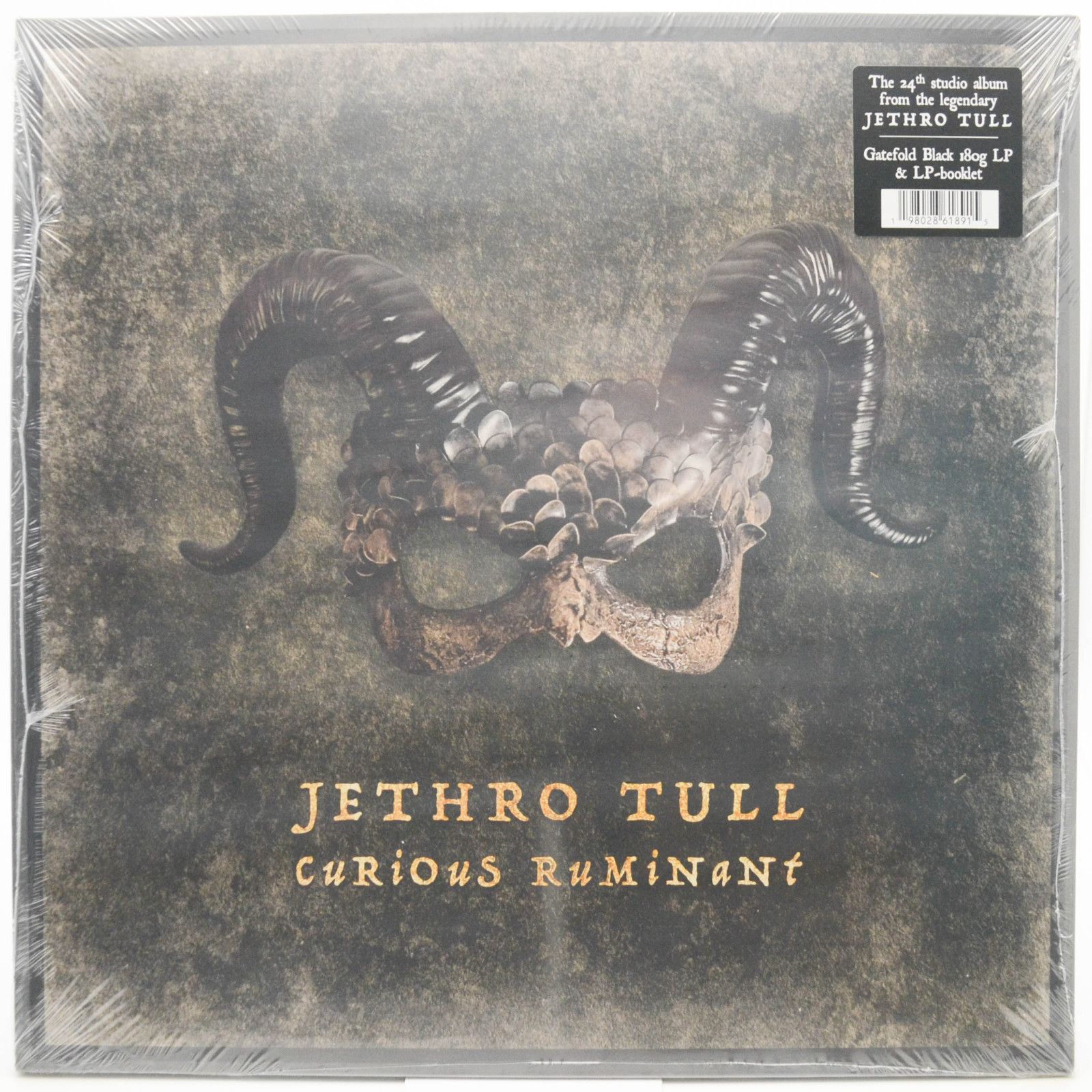 Jethro Tull — Curious Ruminant, 2025