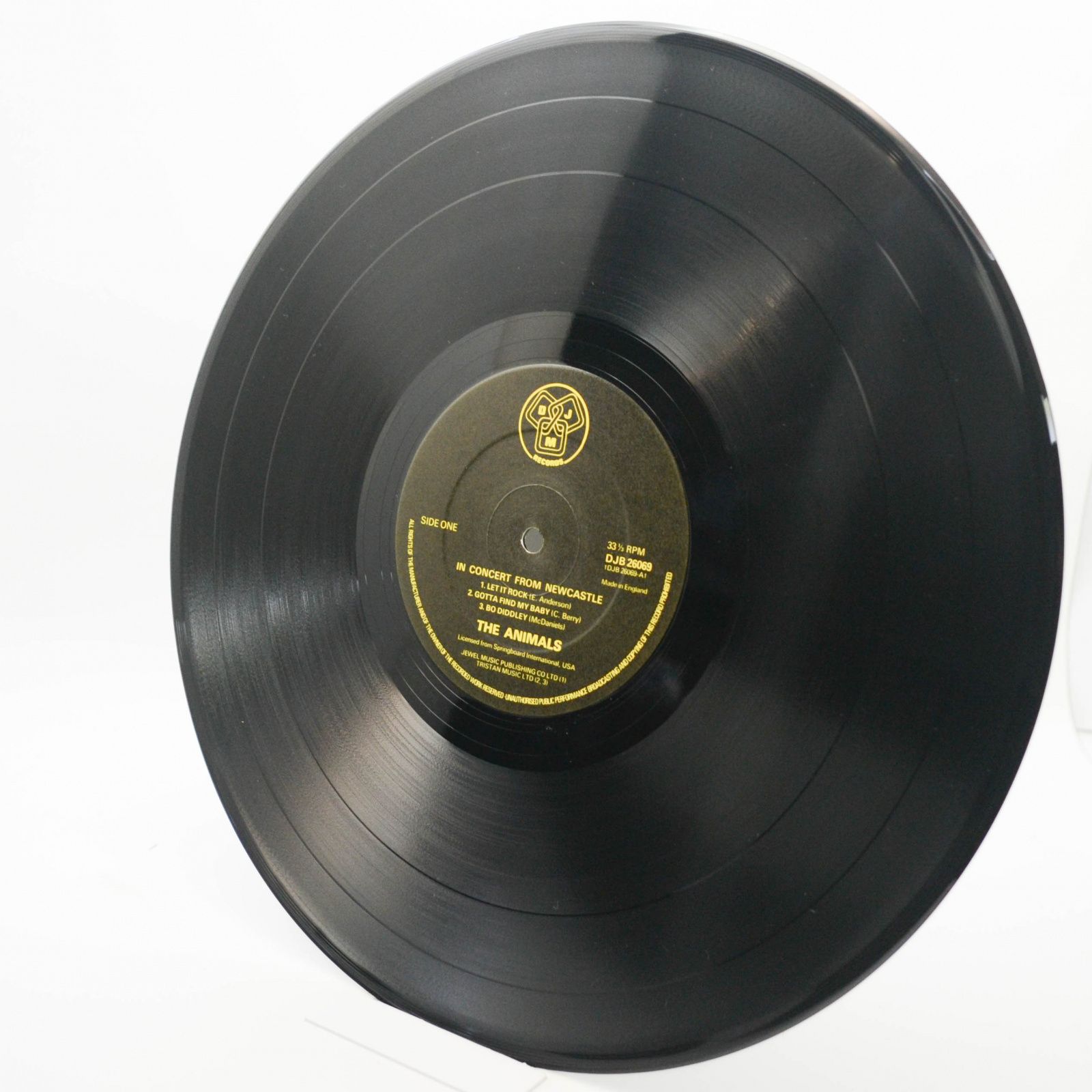 Animals — In Concert From Newcastle (UK), 1976